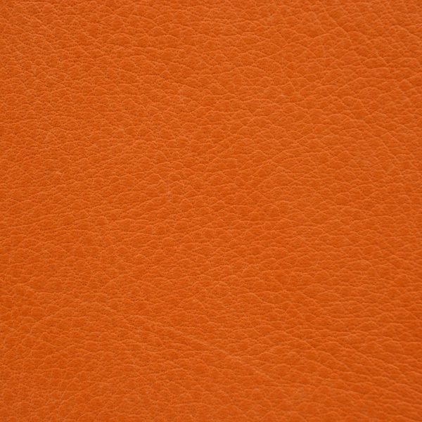 14 SOUVAGE Economico Arancio – nuovo 8048