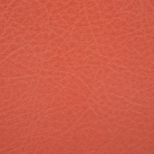40 SOUVAGE Economico Rosso Corallo 52 -5202
