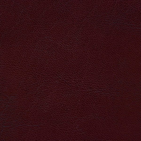 1 Vacchetta economica Bordo -5573