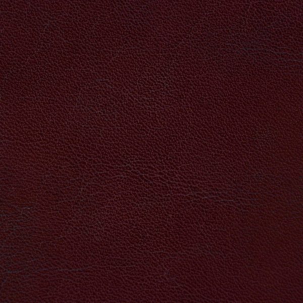 1 Vacchetta economica Bordo -5573