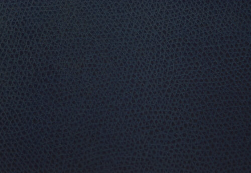 PL412 - Melody Blu
